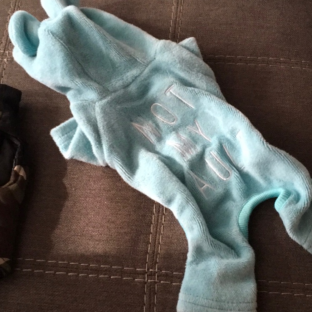 2 Small doggie outfits
